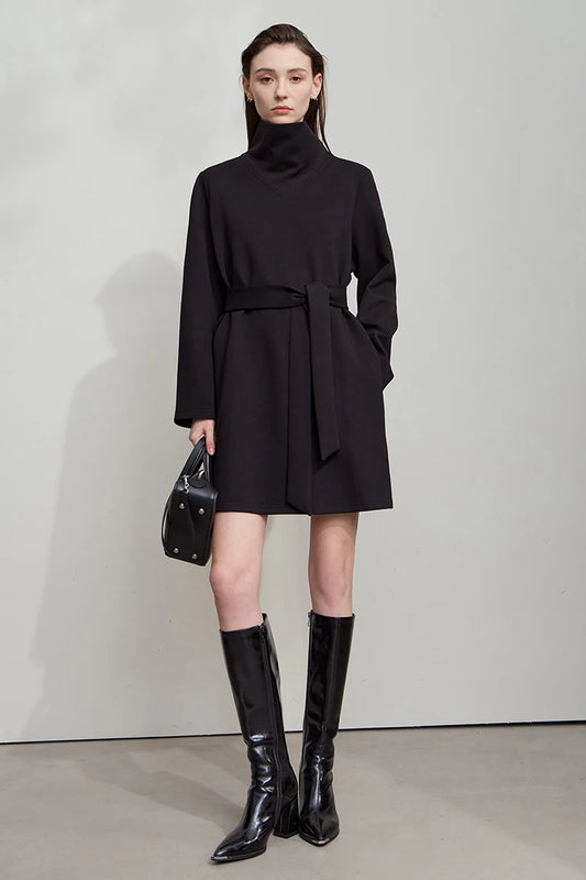 Knit Dress wiht Turtleneck and Belt